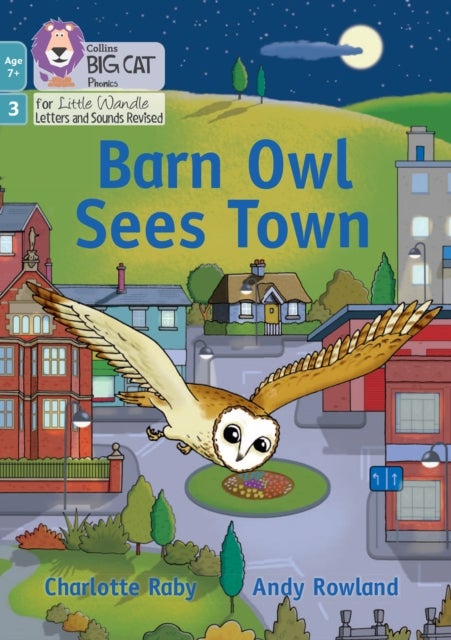Barn Owl Sees Town - Phase 3 Set 1 Blending Practice