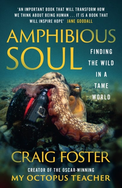 Amphibious Soul - Finding the Wild in a Tame World