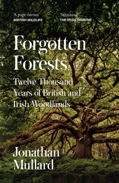 Forgotten Forests - Twelve Thousand Years of British and Irish Woodlands