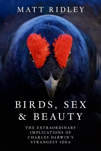 Birds, Sex and Beauty - The Extraordinary Implications of Charles Darwin’s Strangest Idea
