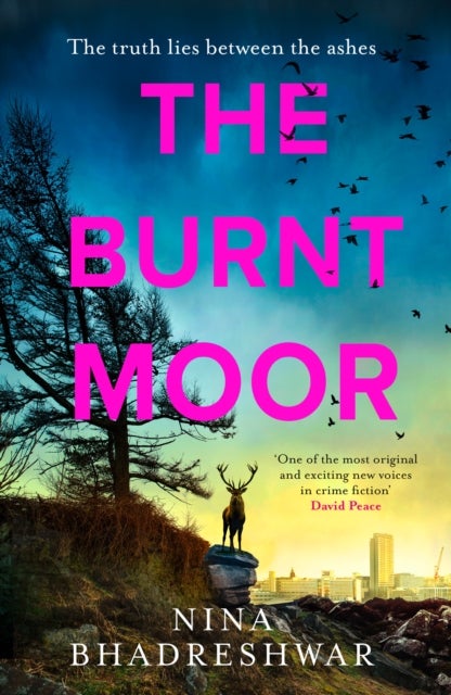 The Burnt Moor
