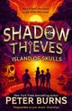 Shadow Thieves: Island of Skulls