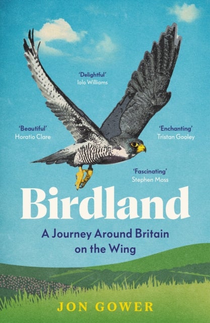 Birdland - A Journey Around Britain on the Wing