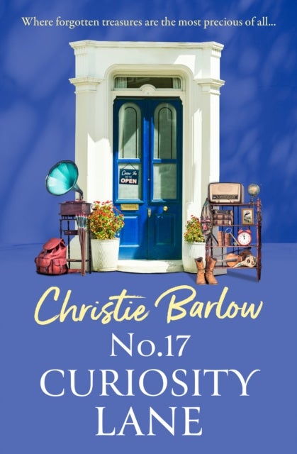 No. 17 Curiosity Lane