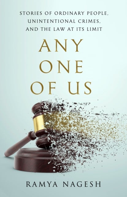 Any One of Us - Stories of Ordinary People, Unintentional Crimes, and the Law at its Limit
