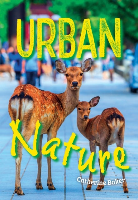 Urban Nature - Fluency 1