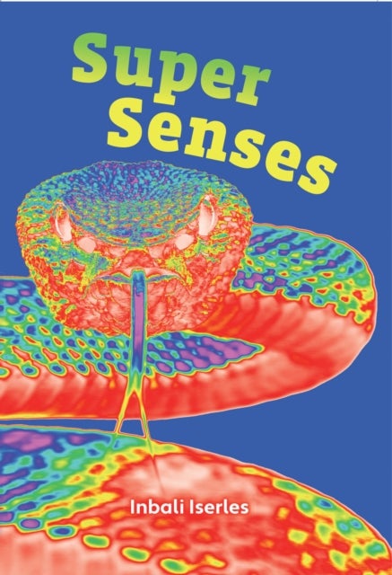 Super Senses - Fluency 5