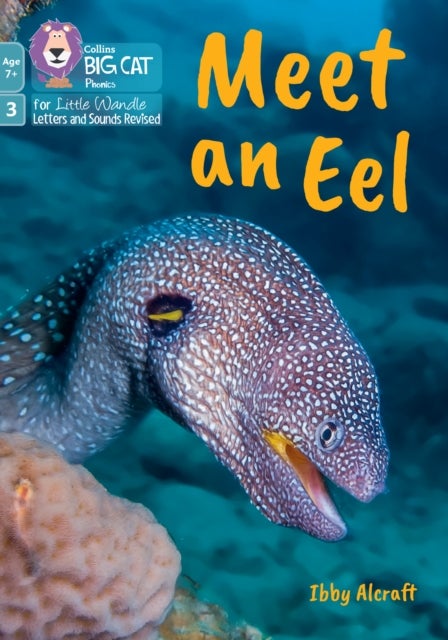 Meet an Eel - Phase 3 Set 1 Blending Practice