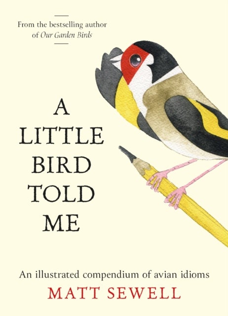 A Little Bird Told Me - An Illustrated Compendium of Bird Phrases