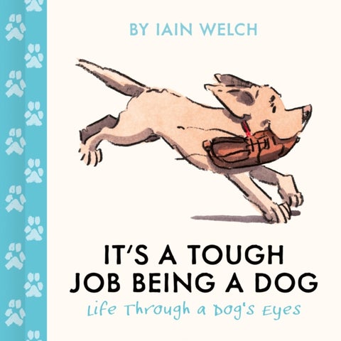 It's a Tough Job Being a Dog - Life Through a Dog’s Eyes