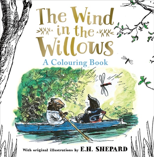 Wind in the Willows Colouring Book - The Definitive Wind in the Willows