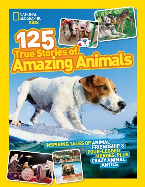 125 True Stories of Amazing Animals - Inspiring Tales of Animal Friendship & Four-Legged Heroes, Plus Crazy Animal Antics