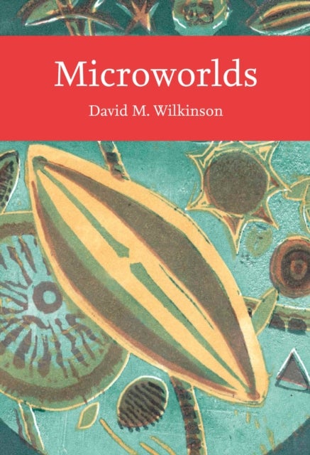 Microworlds