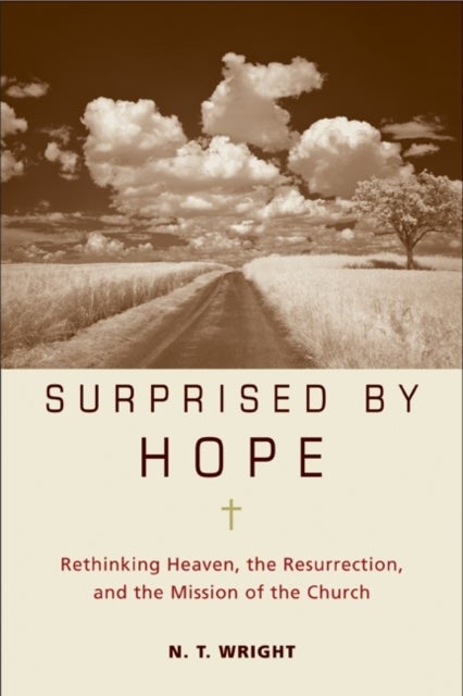 Surprised by Hope - Rethinking Heaven, the Resurrection, and the Mission of the Church