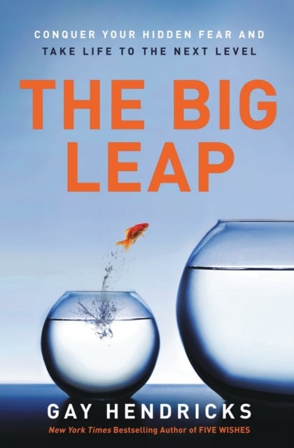 The Big Leap - Conquer Your Hidden Fear and Take Life to the Next Level