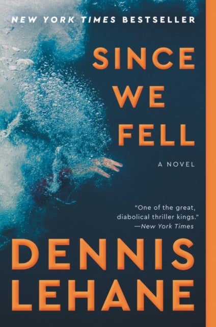 Since We Fell - A Novel