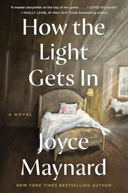 How the Light Gets In - A Novel