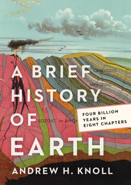 A Brief History of Earth - Four Billion Years in Eight Chapters