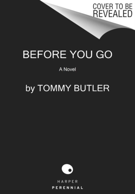 Before You Go - A Novel
