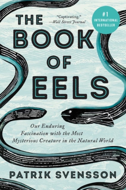 Book of Eels - Our Enduring Fascination with the Most Mysterious Creature in the Natural World