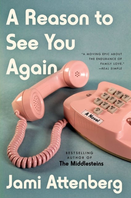 A Reason to See You Again - A Novel