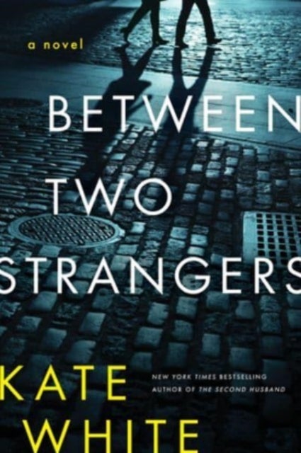 Between Two Strangers - A Novel of Suspense
