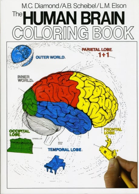 The Human Brain Coloring Book - A Coloring Book