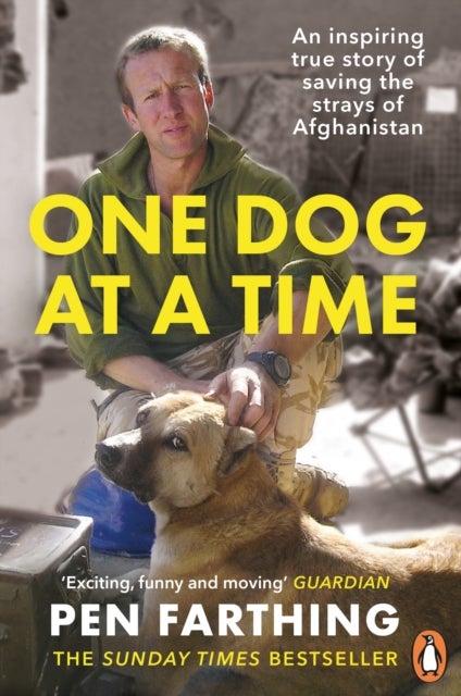 One Dog at a Time - An inspiring true story of saving the strays of Afghanistan