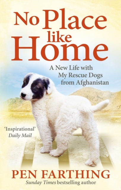 No Place Like Home - A New Beginning with the Dogs of Afghanistan