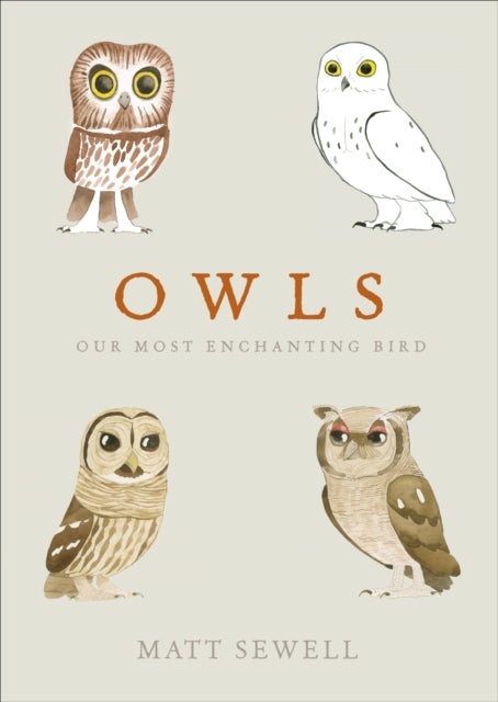 Owls - Our Most Enchanting Bird