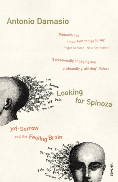 Looking For Spinoza - Joy, Sorrow and the Feeling Brain