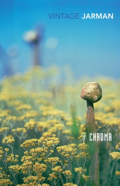Chroma - A Book of Colour - June '93