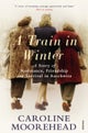 A Train in Winter