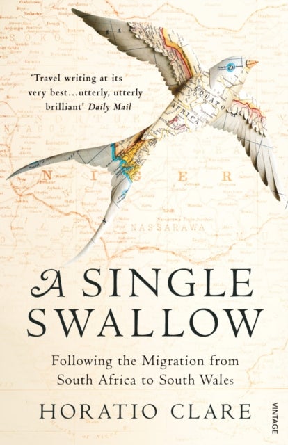 A Single Swallow - Following An Epic Journey From South Africa To South Wales