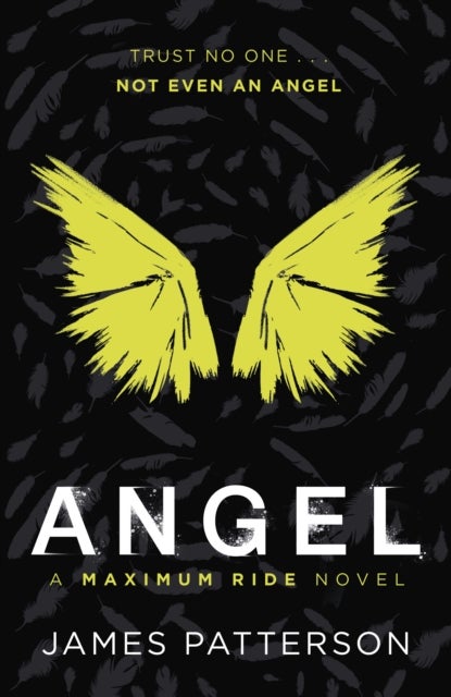 Angel: A Maximum Ride Novel - (Maximum Ride 7)