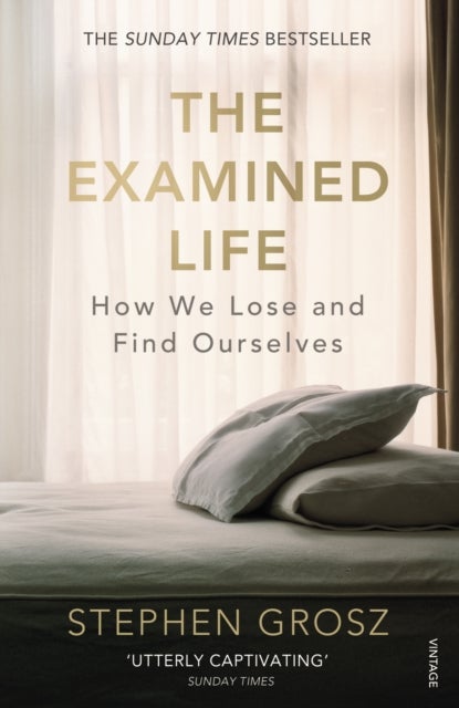 The Examined Life - How We Lose and Find Ourselves