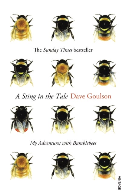 A Sting in the Tale - My Adventures with Bumblebees