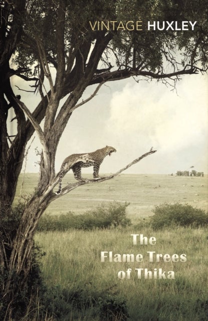 The Flame Trees Of Thika - Memories of an African Childhood