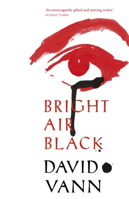 Bright Air Black - ,,Vann,David