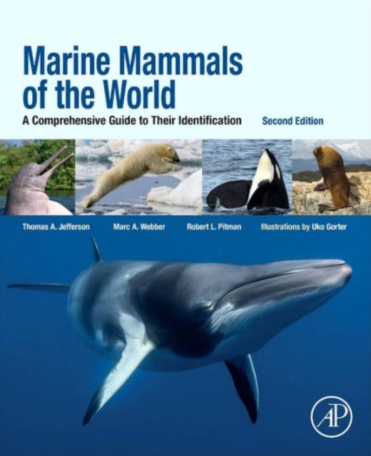 Marine Mammals of the World - A Comprehensive Guide to Their Identification