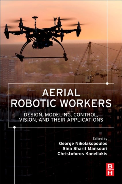 Aerial Robotic Workers - Design, Modeling, Control, Vision and Their Applications