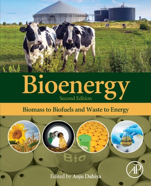 Bioenergy - Biomass to Biofuels and Waste to Energy