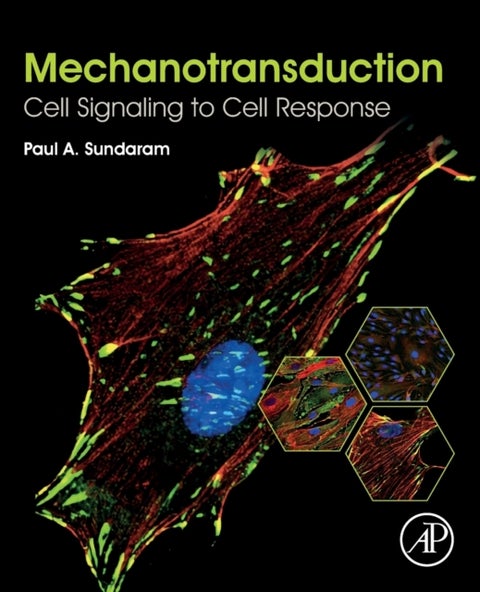 Mechanotransduction - Cell Signaling to Cell Response