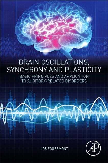 Brain Oscillations, Synchrony and Plasticity - Basic Principles and Application to Auditory-Related Disorders