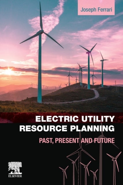 Electric Utility Resource Planning - Past, Present and Future