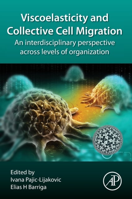 Viscoelasticity and Collective Cell Migration - An Interdisciplinary Perspective Across Levels of Organization