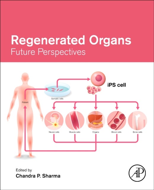 Regenerated Organs - Future Perspectives