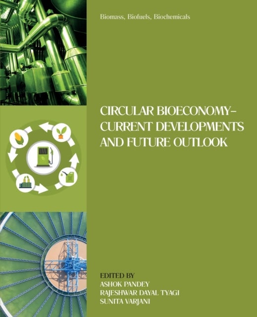 Biomass, Biofuels, Biochemicals - Circular Bioeconomy—Current Developments and Future Outlook