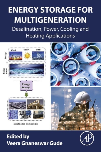 Energy Storage for Multigeneration - Desalination, Power, Cooling and Heating Applications