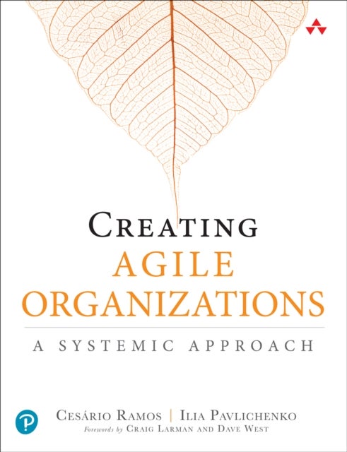 Creating Agile Organizations - A Systemic Approach